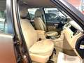 Land Rover Discovery 4 3.0 SDV6 255CV SE *7 Posti* Bronze - thumbnail 17