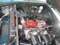 MG MGB spider Verde - thumbnail 7