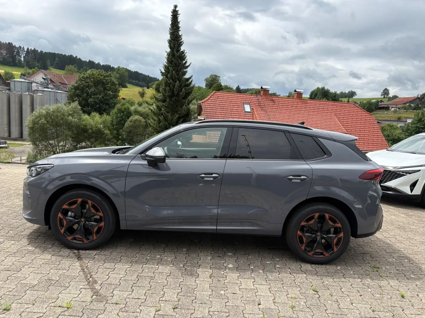 CUPRA Terramar 2.0 TSI 150 kW 4Drive Gris - 2