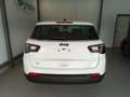 Jeep Compass Compass 1.5 Turbo T4 130 CV MHEV 2WD Altitude Weiß - thumbnail 17