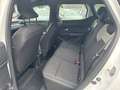 Dacia Duster Duster ECO-G 100 LPG Essential+Alu+Klima+PDC+DAB Bianco - thumbnail 10