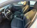 Skoda Octavia Octavia III  Wagon  1.6 tdi Executive 115cv Weiß - thumbnail 10
