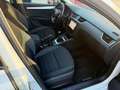 Skoda Octavia Octavia III  Wagon  1.6 tdi Executive 115cv Weiß - thumbnail 16