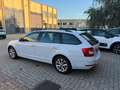 Skoda Octavia Octavia III  Wagon  1.6 tdi Executive 115cv Weiß - thumbnail 6