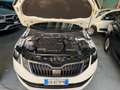 Skoda Octavia Octavia III  Wagon  1.6 tdi Executive 115cv Weiß - thumbnail 8