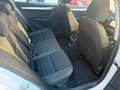 Skoda Octavia Octavia III  Wagon  1.6 tdi Executive 115cv Weiß - thumbnail 18