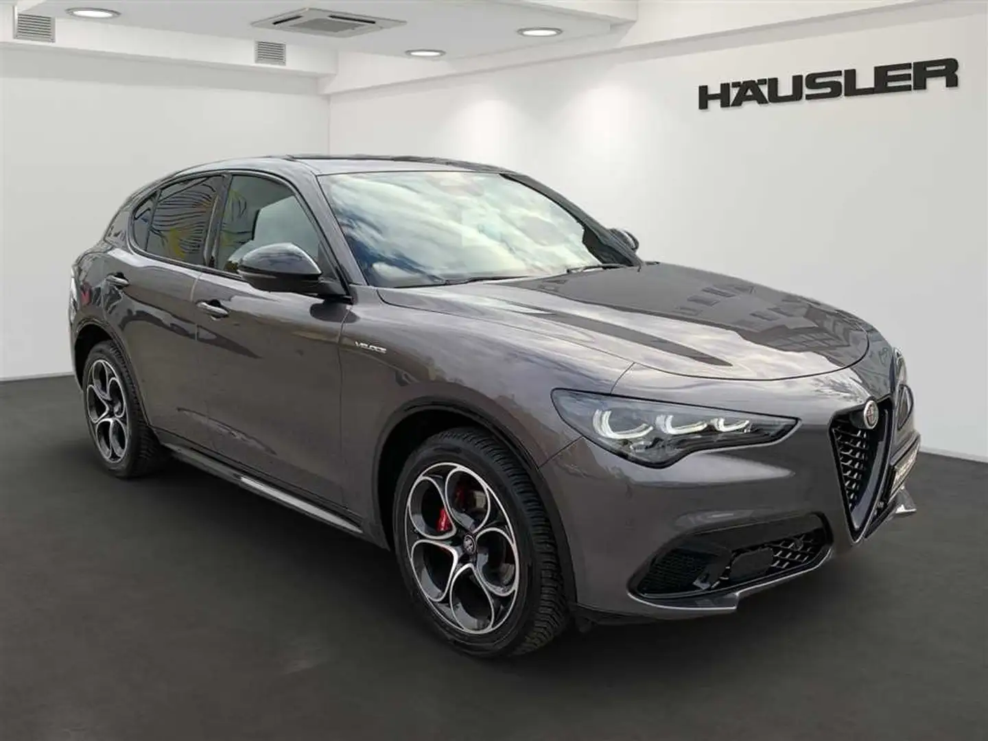 Alfa Romeo Stelvio 2.0 T Q4 Veloce LED PDC Kamera ACC Leder Navi Sitz Gris - 2