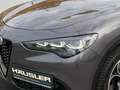 Alfa Romeo Stelvio 2.0 T Q4 Veloce LED PDC Kamera ACC Leder Navi Sitz Gris - thumbnail 7