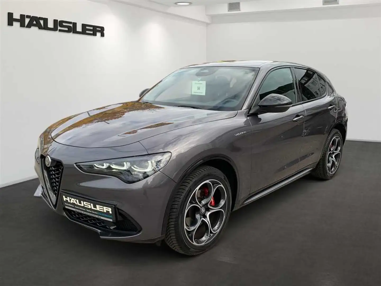 Alfa Romeo Stelvio 2.0 T Q4 Veloce LED PDC Kamera ACC Leder Navi Sitz Gris - 1