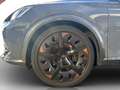 CUPRA Formentor 2.0 TSI DSG 4Drive VZ DCC AHK*PANO*MATRIX*VIRTU... Grau - thumbnail 18