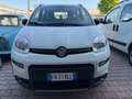 Fiat Panda 1.3 MJT 95 CV S&S 4x4 Weiß - thumbnail 3