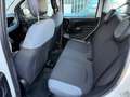Fiat Panda 1.3 MJT 95 CV S&S 4x4 Weiß - thumbnail 8
