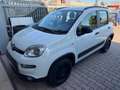 Fiat Panda 1.3 MJT 95 CV S&S 4x4 Weiß - thumbnail 2