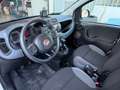 Fiat Panda 1.3 MJT 95 CV S&S 4x4 Weiß - thumbnail 6