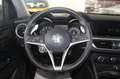 Alfa Romeo Stelvio 2.0 Turbo 280 CV AT8 Q4 First Edition Grigio - thumbnail 12