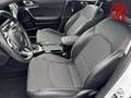 Kia XCeed Vision Rückfahrkam. LenkradHZG Navi Spurhalteass. Weiß - thumbnail 14