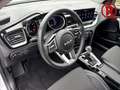 Kia XCeed Vision Rückfahrkam. LenkradHZG Navi Spurhalteass. Weiß - thumbnail 15
