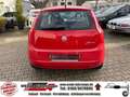 Fiat Punto Evo 1.3 16V Multijet Dynamic Start - TÜV/AU NEU Rot - thumbnail 7