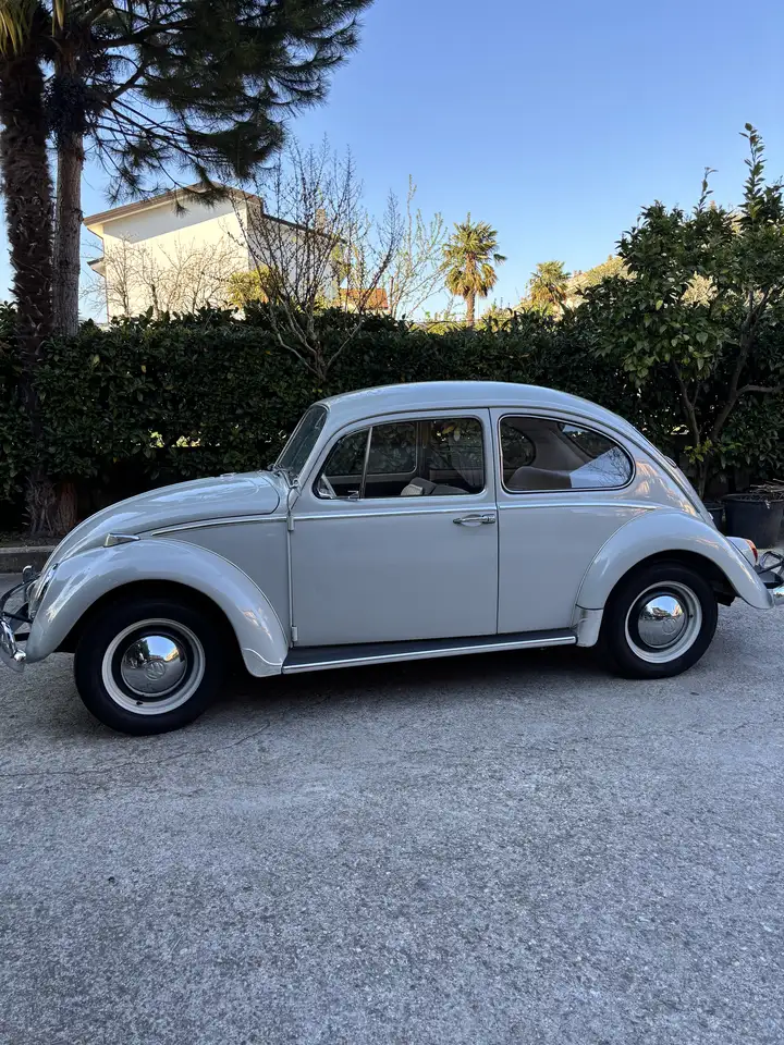 Volkswagen Maggiolino, foto 4