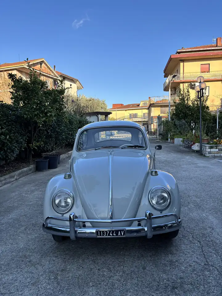 Volkswagen Beetle Maggiolino 1965