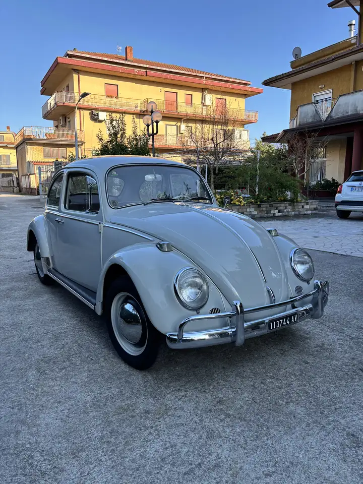 Volkswagen Maggiolino, foto 3