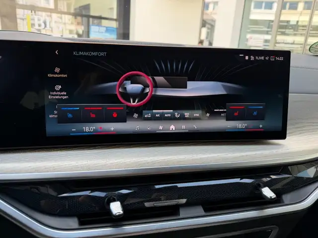 BMW X5 view 11