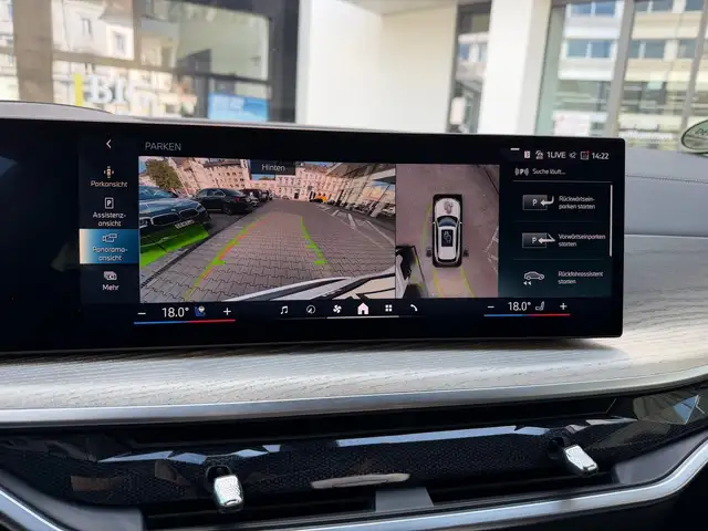 BMW X5 view 10
