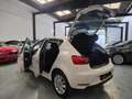 SEAT Ibiza 1.0 Reference 75 Bianco - thumbnail 5