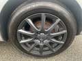 SEAT Ibiza Lim. Stylance / Style/1.2 TDI Grau - thumbnail 7