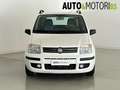 Fiat Panda 1.2 Dynamic Bianco - thumbnail 2