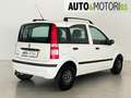 Fiat Panda 1.2 Dynamic Bianco - thumbnail 4