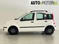 Fiat Panda 1.2 Dynamic Bianco - thumbnail 7