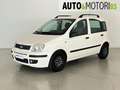 Fiat Panda 1.2 Dynamic Bianco - thumbnail 1