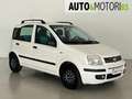 Fiat Panda 1.2 Dynamic Bianco - thumbnail 3