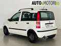 Fiat Panda 1.2 Dynamic Bianco - thumbnail 6