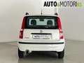 Fiat Panda 1.2 Dynamic Bianco - thumbnail 5