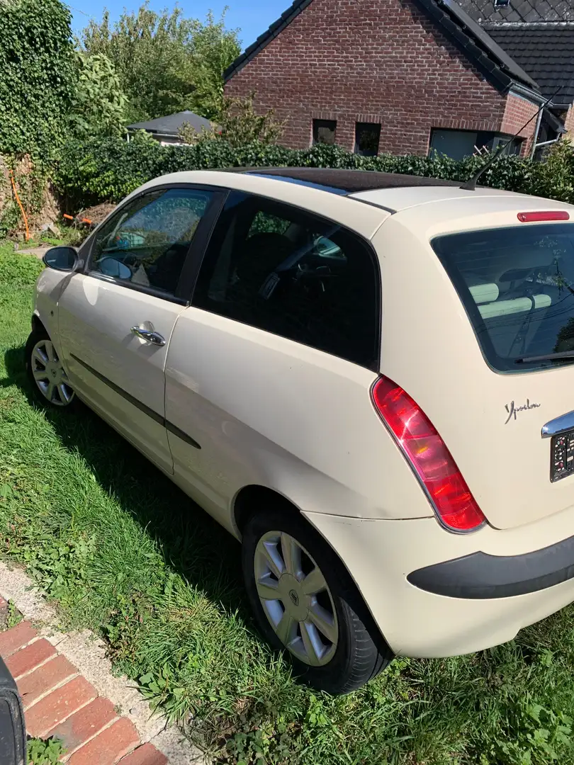 Lancia Ypsilon Ypsilon 1.3 Multijet 16v Platino DFN Beige - 1