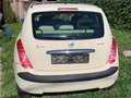 Lancia Ypsilon Ypsilon 1.3 Multijet 16v Platino DFN Beige - thumbnail 3