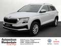 Skoda Karoq TDI 4x4 DSG*Kamera*Navi Weiß - thumbnail 1