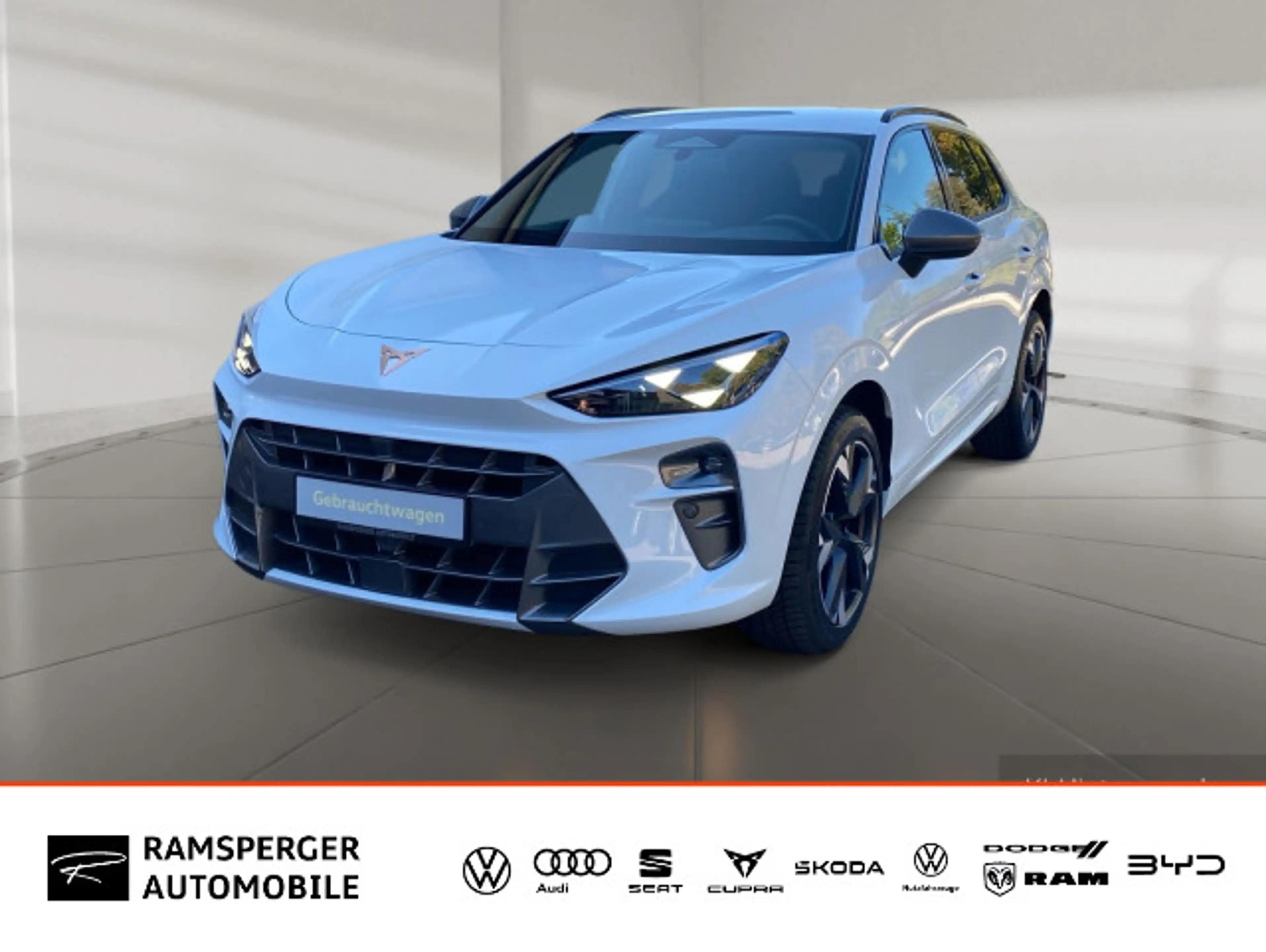 CUPRA Terramar 1.5 TSI Matrix/Headup/Sennh./Assist/uvm