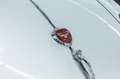 Jaguar XK 140 SE-C OTS I Top Zustand I Classic Data 2 Argent - thumbnail 21