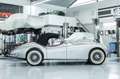 Jaguar XK 140 SE-C OTS I Top Zustand I Classic Data 2 Argent - thumbnail 4