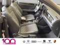 Volkswagen T-Roc Cabriolet Edition Black Plus AHK Standheizung Nero - thumbnail 8