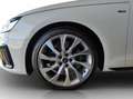 Audi A4 Avant 35 TDI S tronic S line LED*NAV*SHZ*ACC*PD... Weiß - thumbnail 16