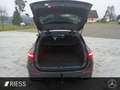 Mercedes-Benz C 220 d T AMG+AHK+Night+Distronic+Navi+Kamera Grau - thumbnail 16