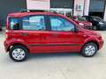 Fiat Panda Panda 1.2 Dynamic Sky Rot - thumbnail 8