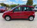 Fiat Panda Panda 1.2 Dynamic Sky Rot - thumbnail 4