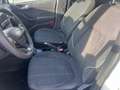 Ford Fiesta 1.5TDCi Active+ 85 Blanco - thumbnail 14
