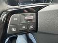Citroen Berlingo Plus M 100 BLUEHDI mit Winterpaket Zwart - thumbnail 9