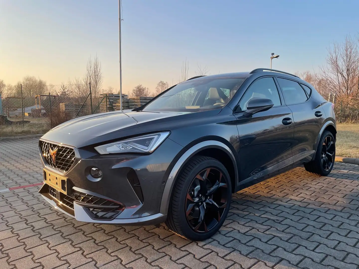 CUPRA Formentor VZ 2.0TSI DSG 4Drive AHK BeatsAudio elektr.Fahrers Grau - 1